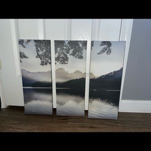 3-piece painting